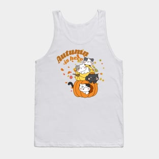 Autumn is here - Hello Fall - Cat in Pumpkin Tank Top